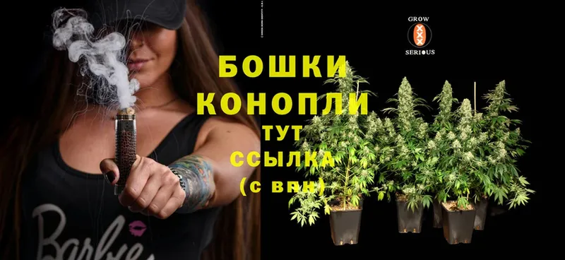 Каннабис OG Kush  Вельск 